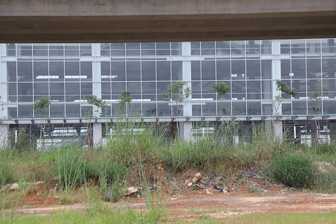 Cỏ dại mọc khắp nơi bên trong khuôn viên bến xe Miền Đông mới