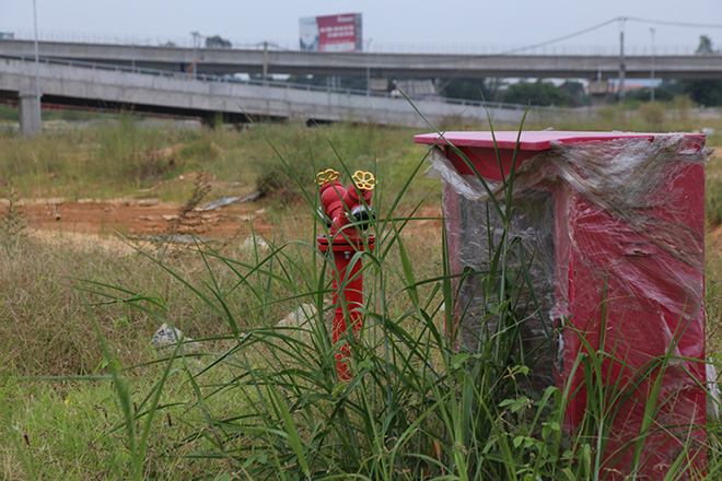 Trụ nước cứu hỏa ẩn mình bởi cỏ bao phủ xung quanh.