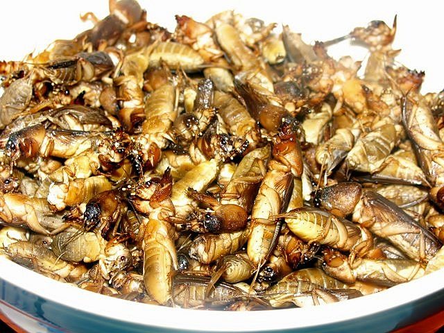 Đến Philippines xem SEA Games 30 nhất định thử 10 đặc sản độc lạ này - 12