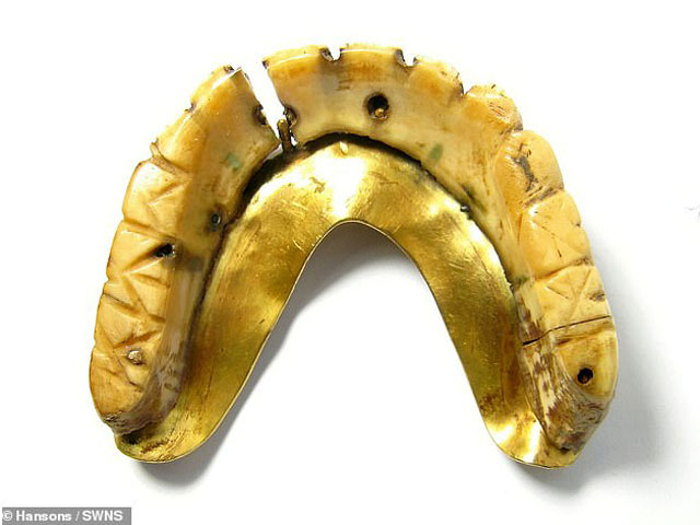 Đường cong của ngà khéo léo phù hợp với hình dạng của miệng. Ảnh DailyMail