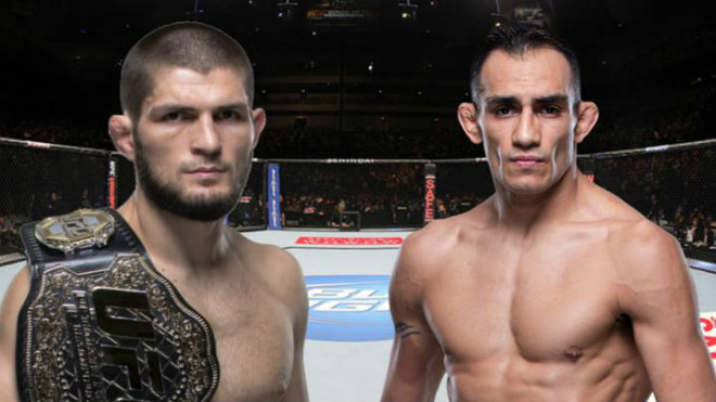 Trận Khabib và Tony Ferguson sắp xảy ra