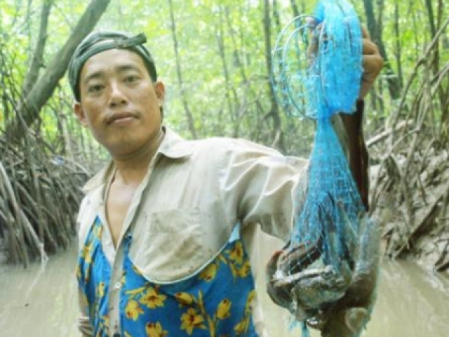 Du lịch - Tới Cà Mau "phượt" ca nô qua rừng đước, ăn toàn của ngon vật lạ