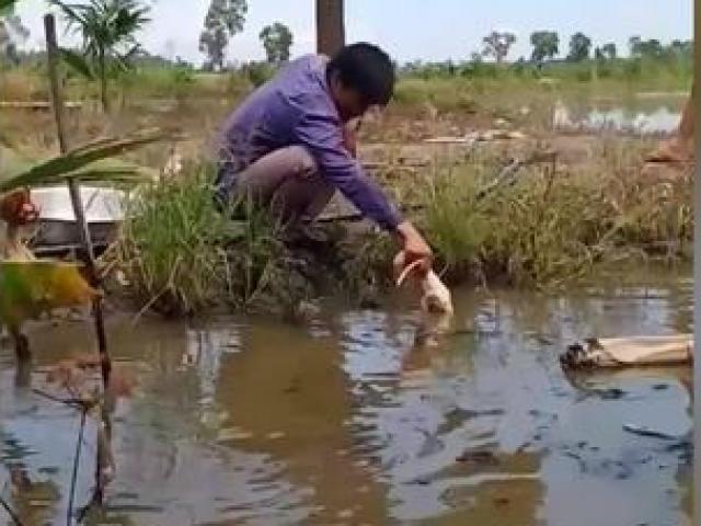 Media - Phát sốt với màn câu cá bằng chân gà có 1-0-2 ở miền Tây