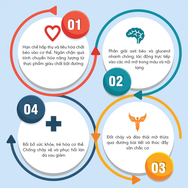 4 tác động giảm mỡ của Enzylim