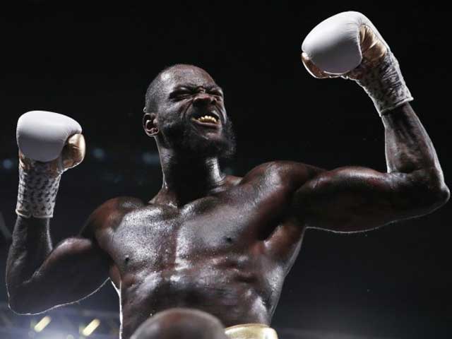 Wilder được kính nể nhờ sức mạnh cú đấm