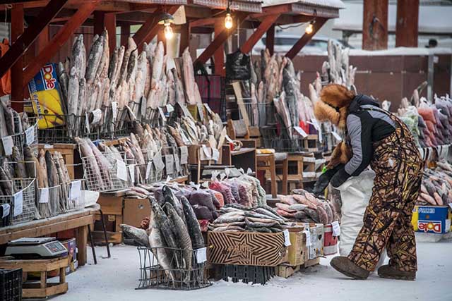 Một người bán cá ở chợ địa phương, nhiệt độ lúc này là -35 độ C. Ảnh được chụp vào ngày 26.11.2018.