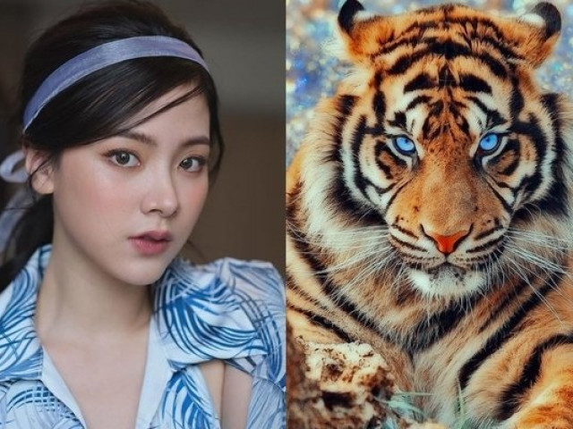 Bạn trẻ - Cuộc sống - Đàn ông giàu có cũng đừng hy vọng dụ dỗ được 3 con giáp này bởi họ không yêu vì tiền