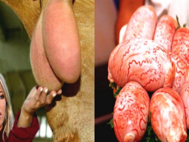 Ẩm thực - Đặc sản được làm từ tinh hoàn động vật: Bà tranh mua bồi bổ cho ông