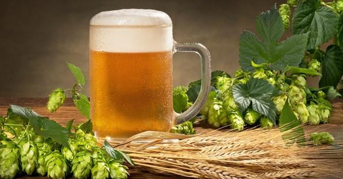 Sức khỏe đời sống - Phát hiện thần dược đẩy lùi cao huyết áp, tiểu đường trong... bia