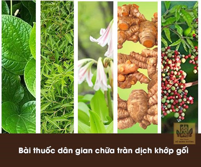 Tràn dịch khớp gối nhẹ hay nặng cũng khỏi nhờ “mẹo” chữa bệnh tư vấn bởi chuyên gia - 3
