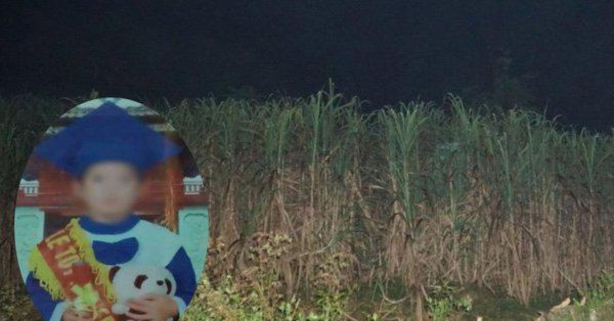 Pháp luật - Bàng hoàng trước lời khai của mẹ kế giết con chồng, giấu xác ở vườn mía