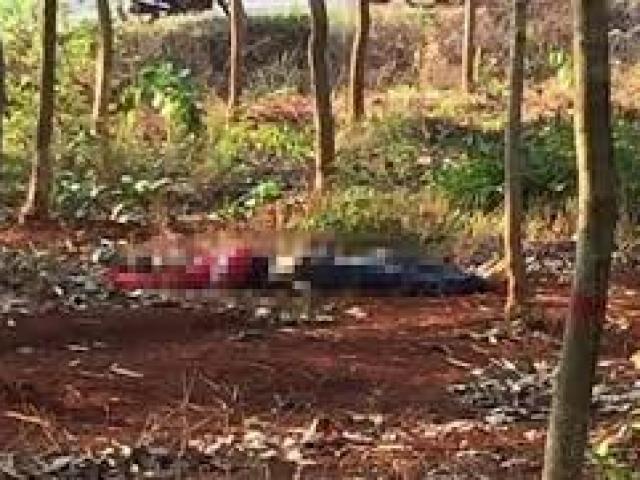 53 cái chết đau đớn và tội ác của tên “đồ tể” bệnh hoạn có ADN khác thường: Bản án cuối cùng