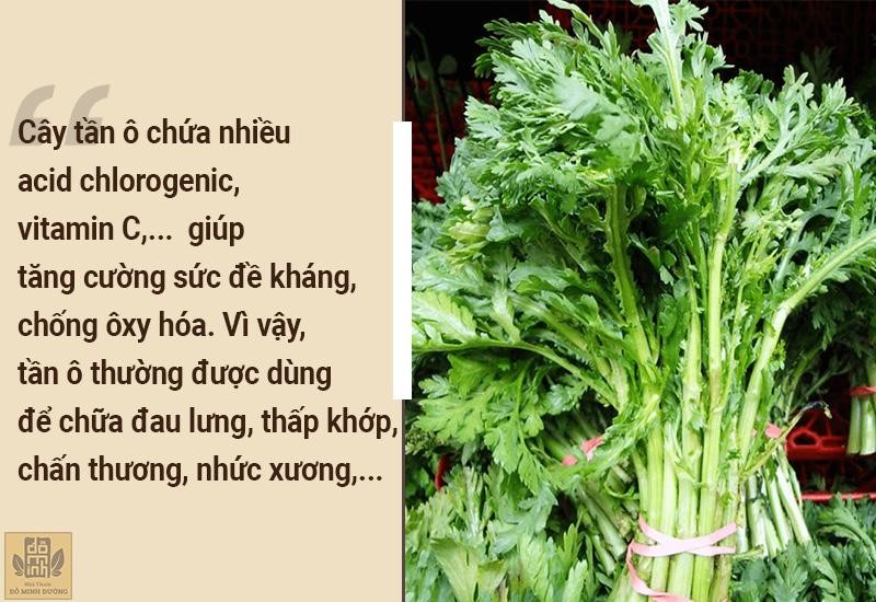 Người đau nhức xương khớp nên ăn gì để xương chắc khỏe, không lo đau nhức - 2