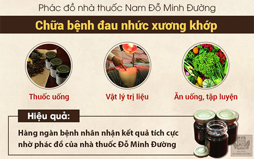 Những cây thuốc nam chữa bệnh đau nhức xương khớp hiệu quả nhiều người tin dùng - 3