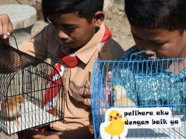 Thị trường - Tiêu dùng - Indonesia đổi điện thoại di động lấy gà, ớt