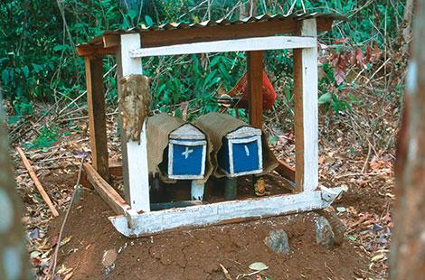 Xác chết được đặt trong quan tài trên mặt đất để đón thân nhân tới cho quà. Ảnh: Pascale Pinay/Lobo Press.