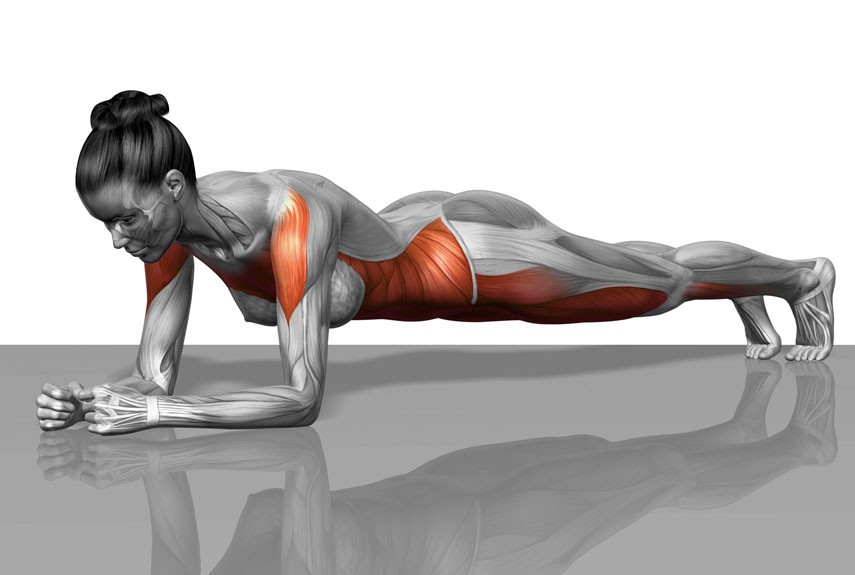 Plank tác động lên toàn cơ thể.