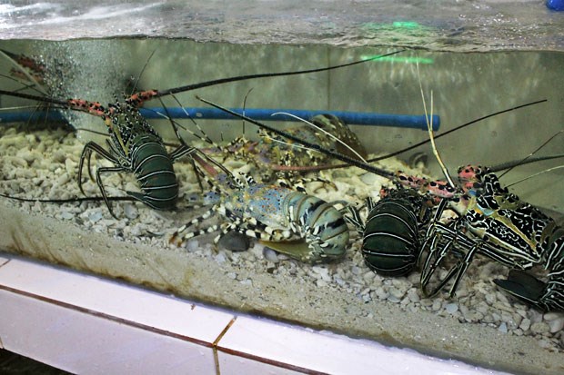 Đến Manila cổ vũ U22 Việt Nam, nhất định thử đặc sản hải sản này - 3