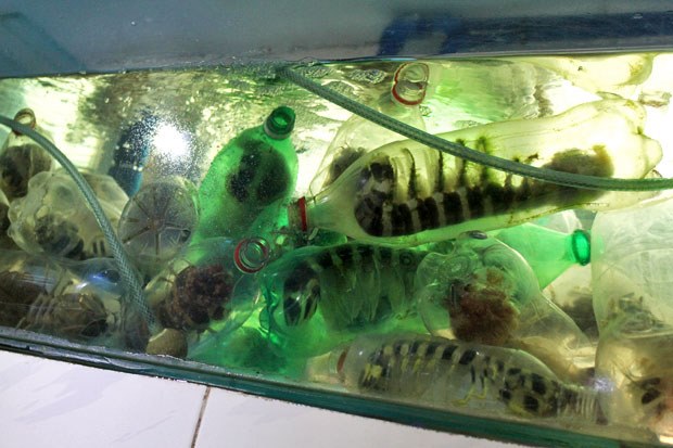 Đến Manila cổ vũ U22 Việt Nam, nhất định thử đặc sản hải sản này - 11