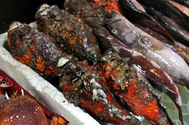 Đến Manila cổ vũ U22 Việt Nam, nhất định thử đặc sản hải sản này - 20