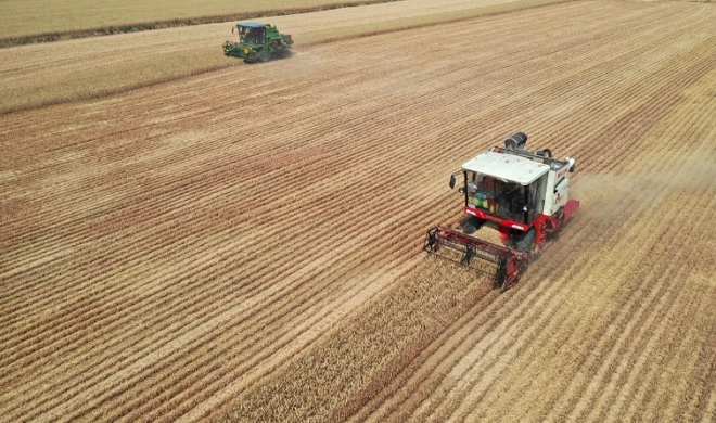 Trung Quốc không thể tự sản xuất toàn bộ mặt hàng nông sản đáp ứng nhu cầu của 1,4 tỷ người.