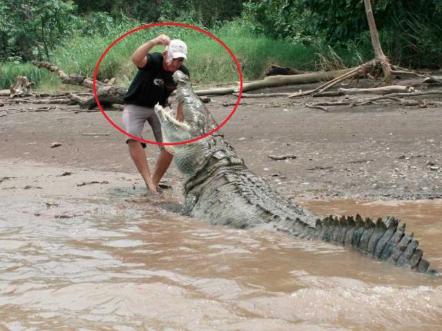 Malaysia: Rùng mình phát hiện nhiều mảnh thi thể người sau khi cá sấu sổng chuồng