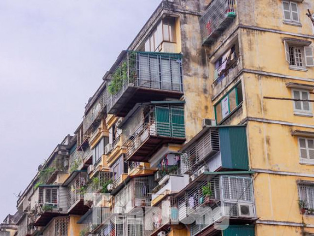 Kinh doanh - Nơm nớp lo sợ với "chuồng cọp, lồng chim" giăng khắp Thủ đô