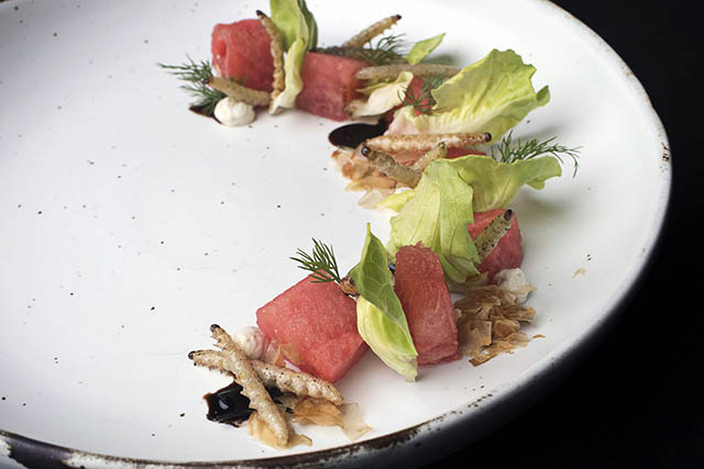 Món khai vị đầu tiên sẽ là salad dưa hấu với nước sốt cá trích, xà lách và sâu bướm. Những con sâu bướm được chiên giòn vàng rụm sẽ tô điểm cho món ăn này, nó có vị giống như mực. Đây là một trong những loài côn trùng "đáng sợ" nhất trong thực đơn. Chúng có nguồn gốc ở miền bắc Thái Lan, thường bán với giá 120 baht/kg (khoảng&nbsp;92.000 VNĐ/kg)