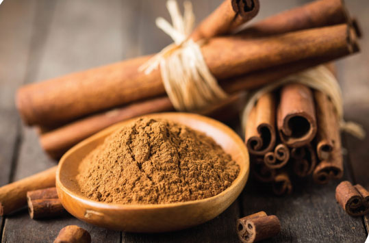 Xu hướng mới trong sử dụng dược liệu y học cổ truyền tại Việt Nam - 3