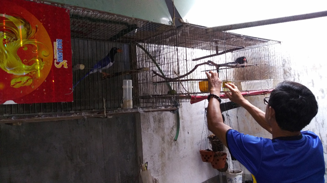 Cuộc sống của ông Châu đã trở lại bình thường nhờ Kim Thính