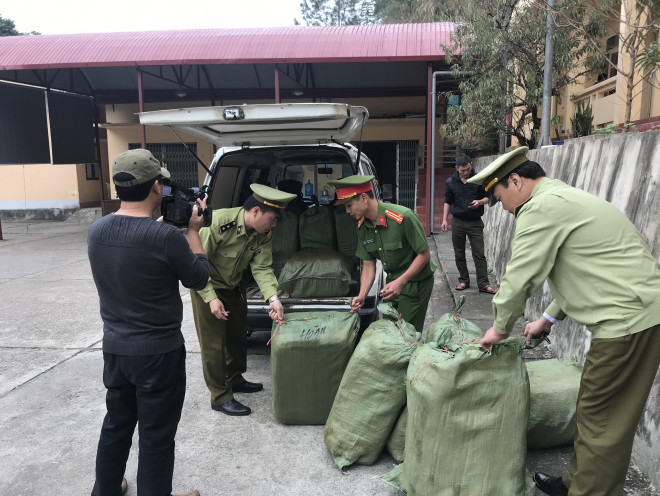 Cục QLTT Lạng Sơn thu giữ 600 kg nầm lợn hôi, thối tuồn vào Việt Nam