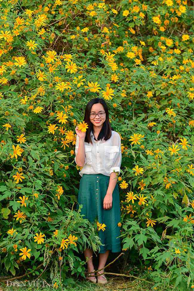 Rừng hoa dã quỳ đẹp mê hồn thu hút ngàn người check in ở Hà Nội - 11
