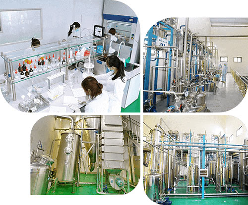   Dây truyền sản xuất công ty dược liệu Việt Nam
