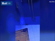 Phi thường - kỳ quặc - Điều xảy ra khi người phụ nữ đi thẳng vào cửa kính cường lực trong suốt