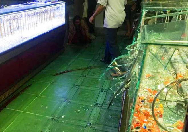 Đập vỡ tủ kính.