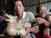 Tượng quái thú nhặt dưới biển Cà Mau lại bị tạm tịch thu