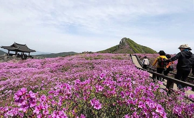 Trong chuyến thăm quê nhà vào đầu năm 2019, thầy Park đã trở thành đại sứ danh dự của Sancheong.