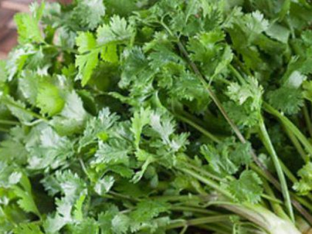 Ẩm thực - Rau mùi nhỏ nhưng cực tốt nếu bạn ăn đúng cách