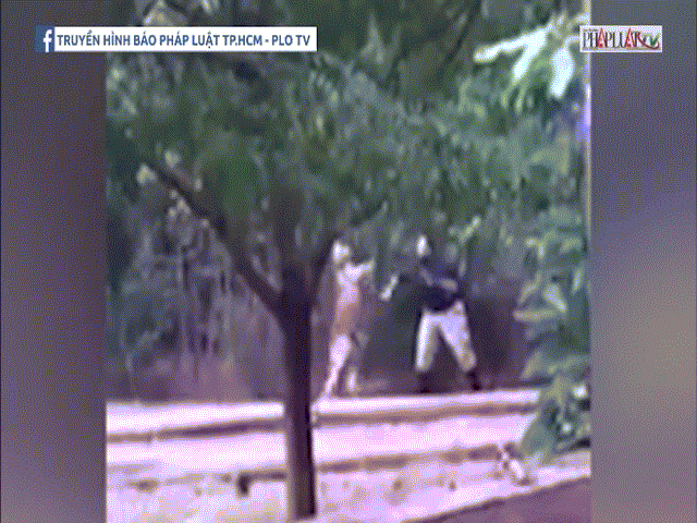 Kangaroo hung dữ tấn công nhân viên vườn thú