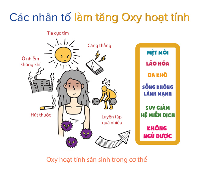 Các tác động của môi trường làm quá trình lão hóa diễn ra nhanh hơn