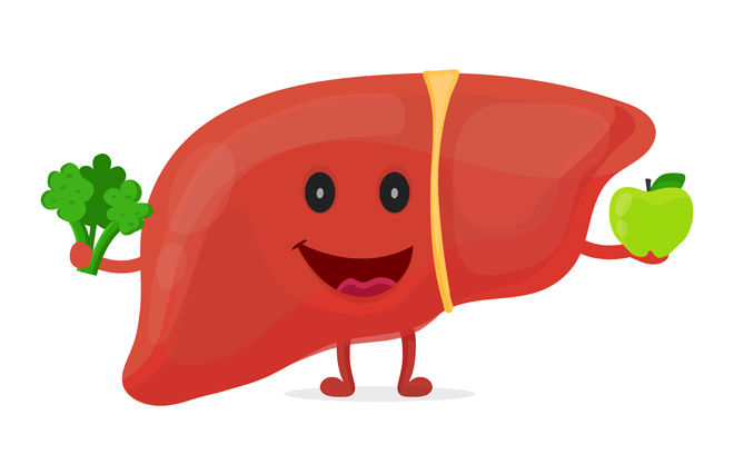 Bảo vệ gan giúp cơ thể tăng cường khả năng chống oxy hóa từ bên trong