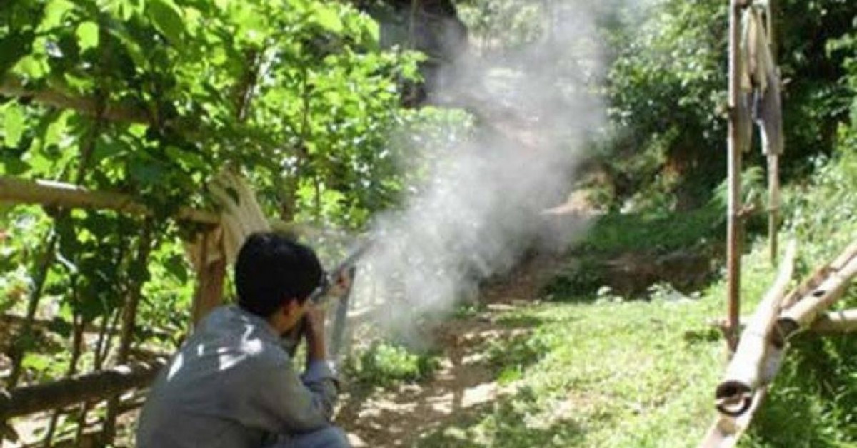Pháp luật - Đang hái rau trong rừng, một người đàn ông ở Nghệ An bị bắn tử vong