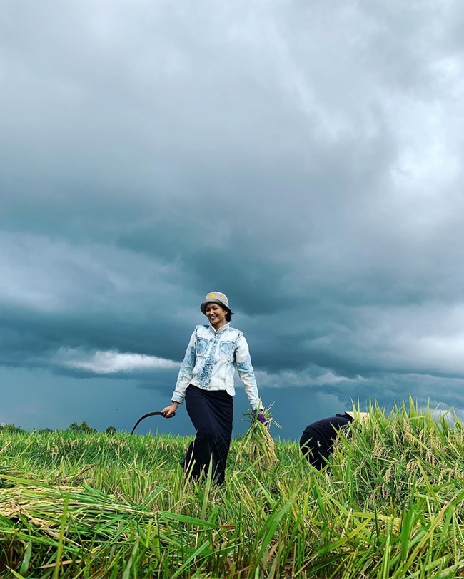 Hình ảnh H'Hen Niê đi cắt lúa được cô chia sẻ cách đây không lâu thu hút sự chú ý của cư dân mạng.
