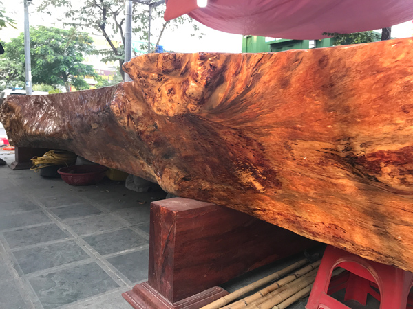 Chiếc sập được "xẻ" từ cây gỗ cẩm lai và đánh bóng.