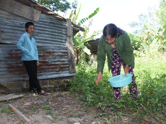 Tin tức trong ngày - Mẹ già gồng gánh nuôi 3 người con bị tâm thần và ung thư
