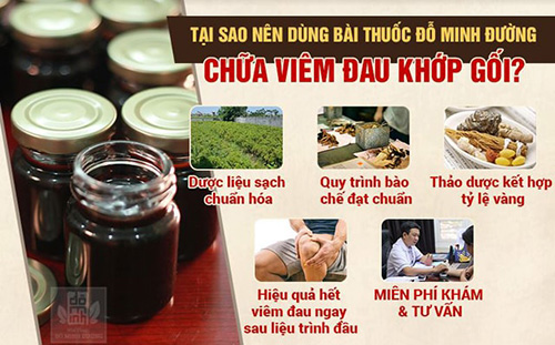 Chuyên gia tiết lộ cách chữa thoái hóa khớp gối đơn giản, hiệu quả cao từ thảo dược - 4