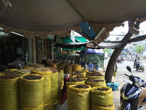 Điều trị thoái hóa khớp gối bằng Đông y đơn giản, hiệu quả và không cần phẫu thuật - 3