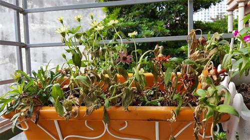 Những món đồ cũ không nên chứa trong nhà vì vừa gây bệnh vừa xui xẻo "đại hung" - 1