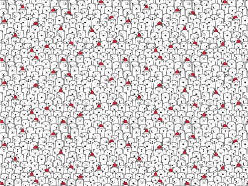 Bạn có nhận ra chú cún giữa rừng gấu Bắc Cực chỉ với 3 phút?