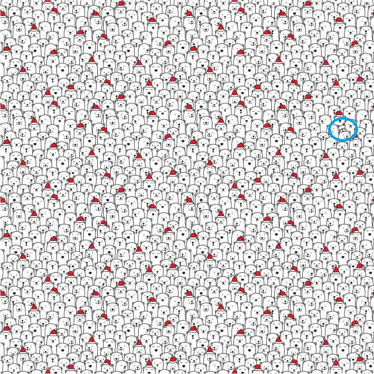 Bạn có nhận ra chú cún giữa rừng gấu Bắc cực này? - 2